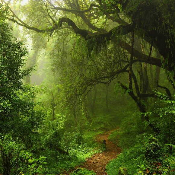 Meet your Posher - Picture 1 of 1